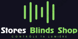SBS Logo
